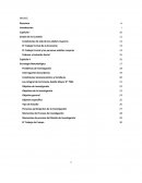 Condiciones de vida de los adultos mayores.