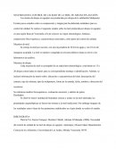 NECESIDAD DEL CONTROL DE CALIDAD DE LA MIEL DE ABEJAS SIN AGUIJÓN.