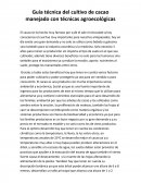 Guía técnica del cultivo de cacao manejado con técnicas agroecológicas