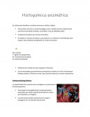Histoquimica enzimatica