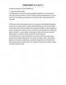 Tamelados S.A. de C.V. Análisis de situación de mercadotecnia