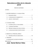 Naturaleza jurídica de la cláusula penal linea jurisprudencial.