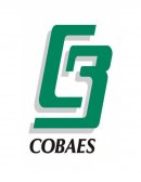 Ensayo Proyecto Integrador.