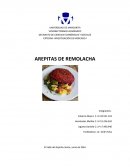 ELABORACION DE UN PRODUCTO. El sabor de la Arepa Natural, S.A