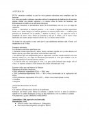 RESUMEN ATIVIRALES