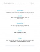 MASTER EN DISEÑO, GESTION Y DIRECCION DE PROYECTOS.