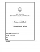 Parcial De alfabetizacion.