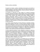 Macetas y jardines sustentables