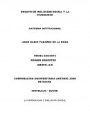 ENSAYO DE INCLUCION SOCIAL.