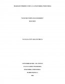 Nuestro témpano se derrite