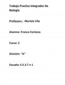 Trabajo recuperador integrador de biología