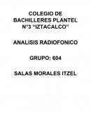 Análisis radiofonico.