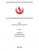 GESTIÓN DE LA CALIDAD DEL PROYECTO.