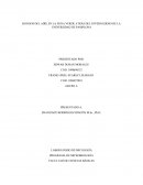 Hongos del aire