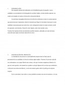 ELABORACIÓN DEL CURRICULUM.