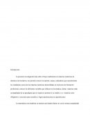 Practica gerencia II.