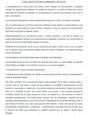 CONCLUSIÓN DE ROSAS HERNANDEZ LUIS DAVID.