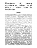 Mecanismos de captura microbiana de carbono en el océano - futuras líneas de investigación