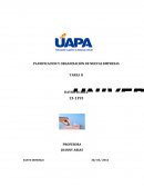PLANIFICACION Y ORGANIZACIÓN DE NUEVAS EMPRESAS TAREA II