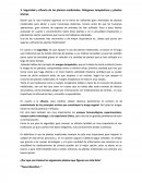 Seguridad y eficacia de las plantas medicinales. Máregenes terapéuticos y plantas tóxicas