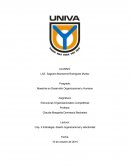 ENSAYO DE Estrategia, diseño organizacional y efectividad