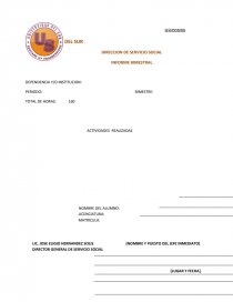 INFORME SERVICIO SOCIAL.. Página 1