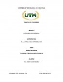 Ensayo precios de transferencia en Honduras