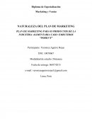 PLAN DE MARKETING PARA 03 PRODUCTOS DE LA INDUSTRIA ALIMENTARIA CASO: EMBUTIDOS “PORKY’S”.