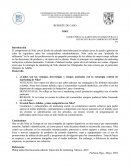 REPORTE DE CASO NIKE