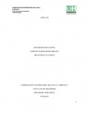 Experimento TUBO DE RUBENS