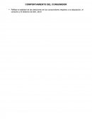 Ensayo - Comportamiento del consumidor.