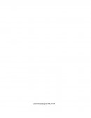 Las fibras sintéticas.