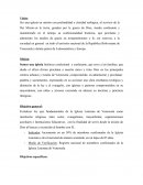 Mision,Vision y objetivos ILV