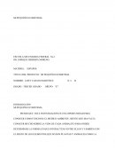 MI PEQUEÑO ECOSISTEMA.