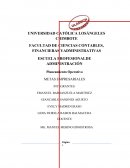 Planeamiento Operativo METAS EMPRESARIALES