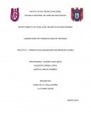 Bloqueadores neuromusculares