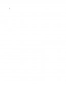 ¿Cuáles son los hábitos y preferencias de consumo, específicamente en los jóvenes de entre 25 y 40 años de la localidad de Pénjamo, Guanajuato?