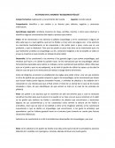 Actividad en el arenero “Busquemos fósiles”