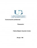 Comunicación profesional.