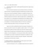 CASO "A-CAT CORP: FORECASTING"