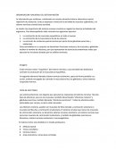 ORGANIZACION FUNCIONAL DEL SISTEMA MOTOR.