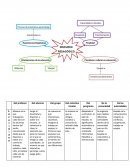 INFORME - LENGUAJE ESCRITO.