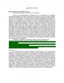 Análisis FODA. TOYOTA