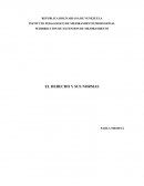 EL DERECHO Y SUS NORMAS