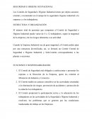 SEGURIDAD E HIGIENE OCUPACIONAL.