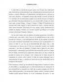 La salud debe ser considerada un guion común como la mayor
