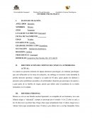 IDENTIFICACIÓN DEL MOTIVO DE CONSULTA O PROBLEMA ACTUAL