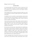 RESUMEN HOME. En el documental explican sobre la tierra desde sus inicios