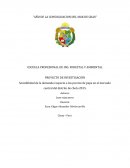 Sensibilidad de la demanda respecto a los precios de papa en el mercado central del distrito de chota 2015.