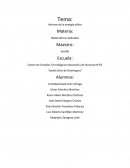 Informe de la energía eólica